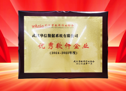 喜讯丨DB真人旗舰 DB数据获评2024~2025年度武汉市软件行业&ldquo;优秀企业&rdquo;、&ldquo;优秀工作者&rdquo;荣誉称号！